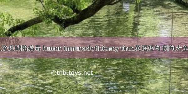 人免疫缺陷病毒 human immunodeficiency virus英语短句 例句大全