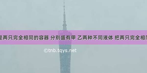 如图所示是两只完全相同的容器 分别盛有甲 乙两种不同液体 把两只完全相同的密度计