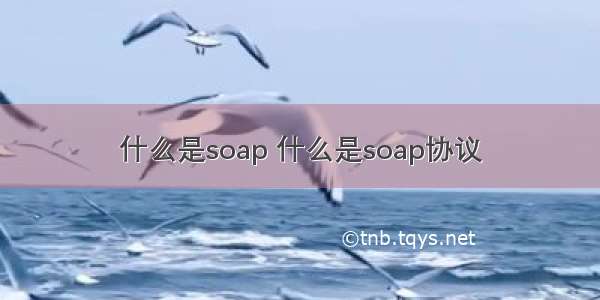 什么是soap 什么是soap协议