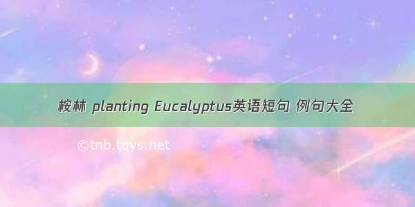 桉林 planting Eucalyptus英语短句 例句大全