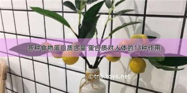 各种食物蛋白质含量 蛋白质对人体的13种作用