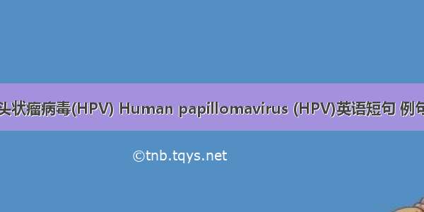 人乳头状瘤病毒(HPV) Human papillomavirus (HPV)英语短句 例句大全