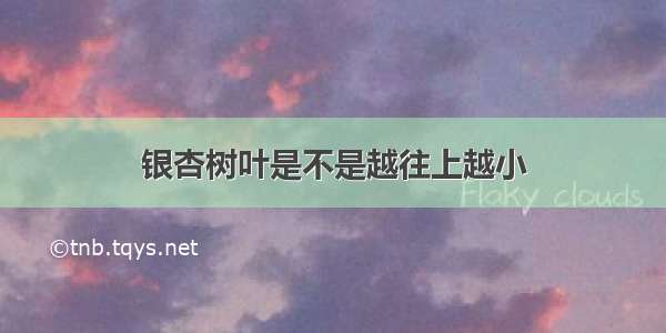 银杏树叶是不是越往上越小