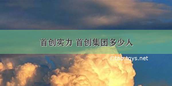 首创实力 首创集团多少人