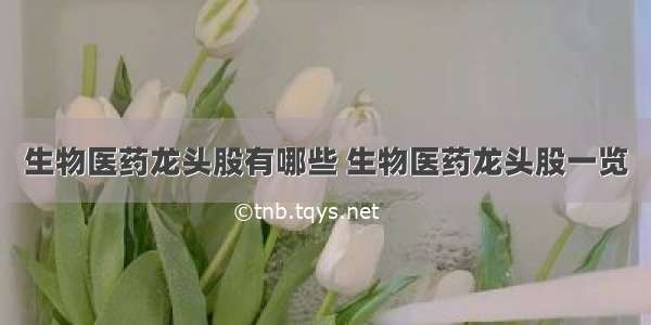 生物医药龙头股有哪些 生物医药龙头股一览