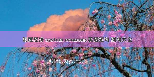 制度经济 system economy英语短句 例句大全