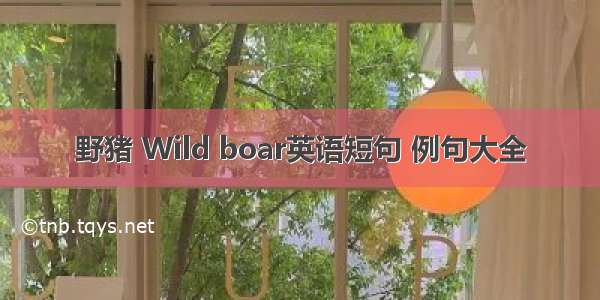 野猪 Wild boar英语短句 例句大全