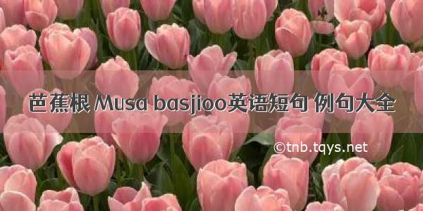 芭蕉根 Musa basjioo英语短句 例句大全