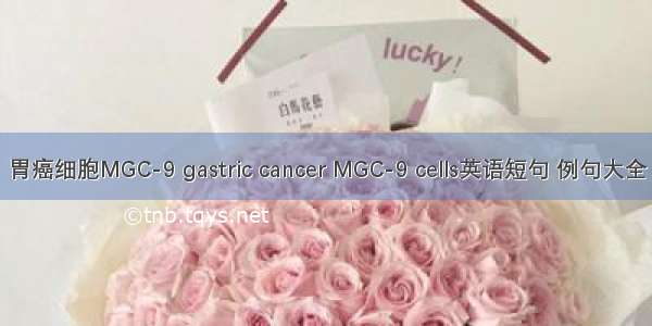 胃癌细胞MGC-9 gastric cancer MGC-9 cells英语短句 例句大全