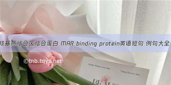 核基质结合区结合蛋白 MAR binding protein英语短句 例句大全