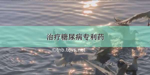 治疗糖尿病专利药