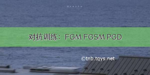 对抗训练：FGM FGSM PGD