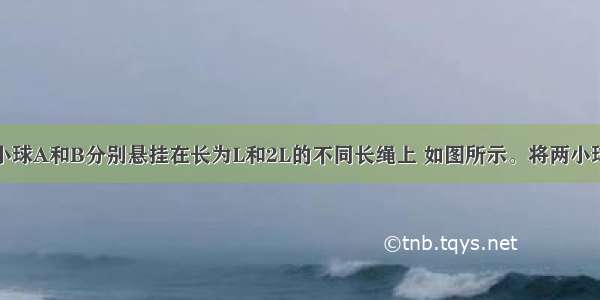 质量相同的小球A和B分别悬挂在长为L和2L的不同长绳上 如图所示。将两小球拉至同一水