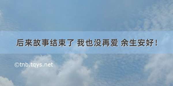 后来故事结束了 我也没再爱 余生安好！