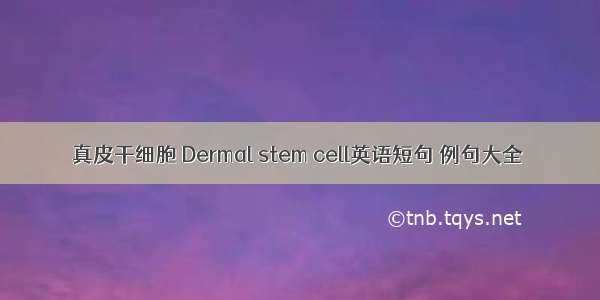 真皮干细胞 Dermal stem cell英语短句 例句大全