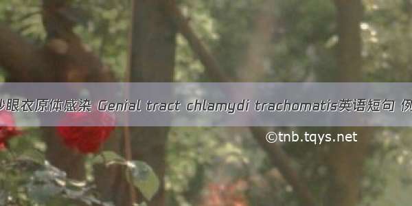 生殖道沙眼衣原体感染 Genial tract chlamydi trachomatis英语短句 例句大全