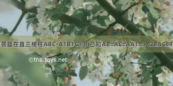 解答题在直三棱柱ABC-A1B1C1中 已知AB=AC=AA1=4 ∠BAC=90°