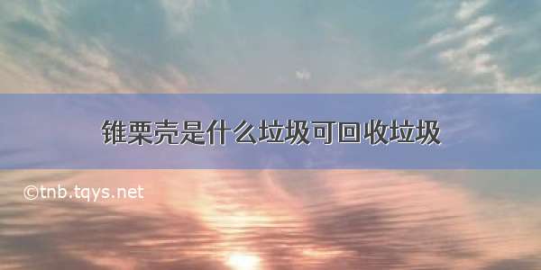 锥栗壳是什么垃圾可回收垃圾