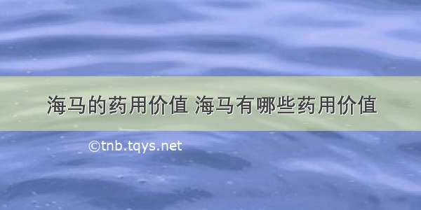 海马的药用价值 海马有哪些药用价值