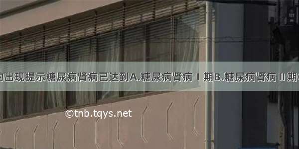 大量蛋白尿的出现提示糖尿病肾病已达到A.糖尿病肾病Ⅰ期B.糖尿病肾病Ⅱ期C.糖尿病肾病