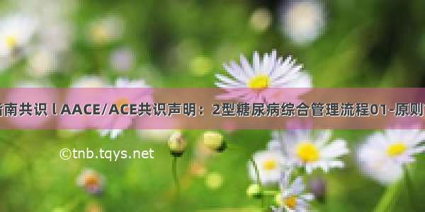 指南共识 l AACE/ACE共识声明：2型糖尿病综合管理流程01-原则**