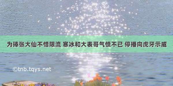 为捧张大仙不惜限流 寒冰和大表哥气愤不已 停播向虎牙示威