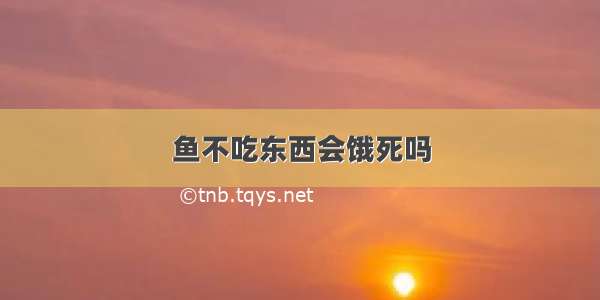 鱼不吃东西会饿死吗