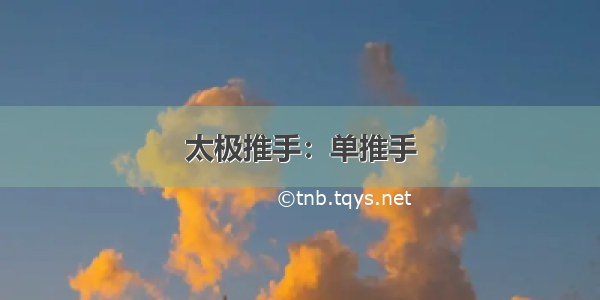 太极推手：单推手