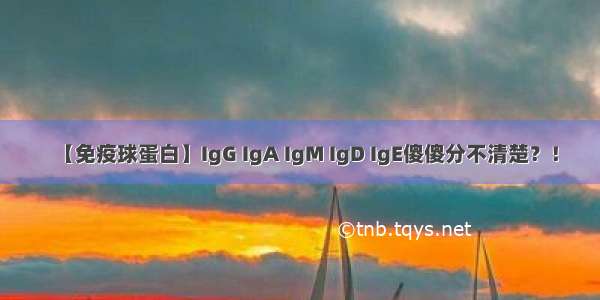 【免疫球蛋白】IgG IgA IgM IgD IgE傻傻分不清楚？！