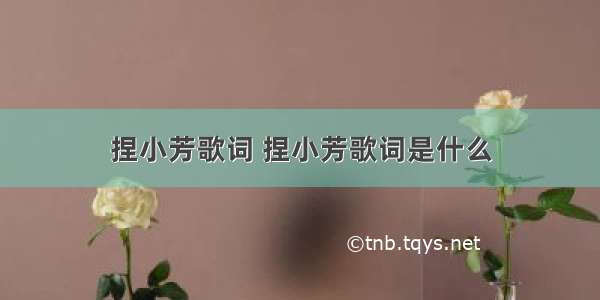 捏小芳歌词 捏小芳歌词是什么