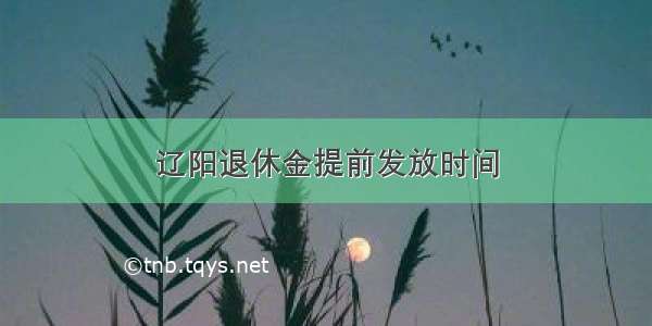 辽阳退休金提前发放时间