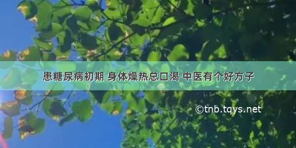 患糖尿病初期 身体燥热总口渴 中医有个好方子