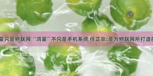 华为 鸿蒙只是物联网 “鸿蒙”不只是手机系统 任正非:是为物联网所打造的系统...