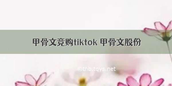 甲骨文竞购tiktok 甲骨文股份