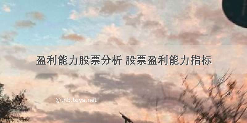 盈利能力股票分析 股票盈利能力指标