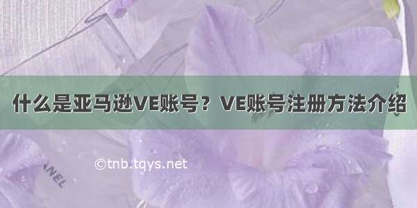 什么是亚马逊VE账号？VE账号注册方法介绍