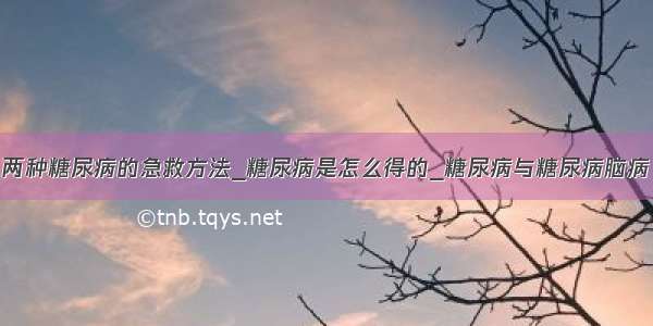 两种糖尿病的急救方法_糖尿病是怎么得的_糖尿病与糖尿病脑病