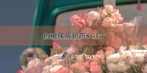 抗糖尿病新药SGLT