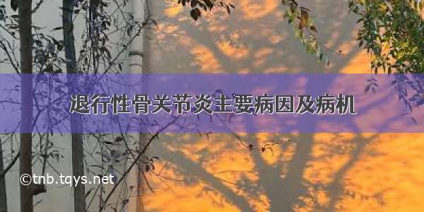 退行性骨关节炎主要病因及病机