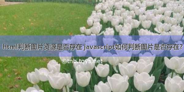 html判断图片资源是否存在 javascript如何判断图片是否存在？