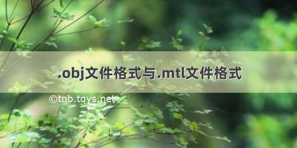 .obj文件格式与.mtl文件格式