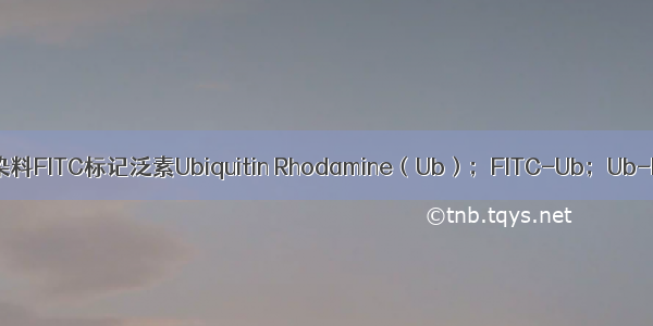 荧光染料FITC标记泛素Ubiquitin Rhodamine（Ub）；FITC-Ub；Ub-FITC