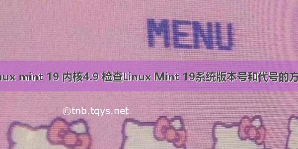 linux mint 19 内核4.9 检查Linux Mint 19系统版本号和代号的方法