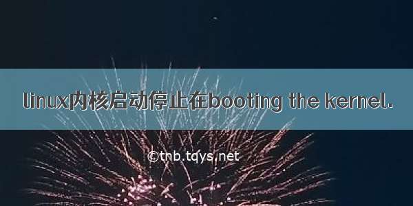 linux内核启动停止在booting the kernel.