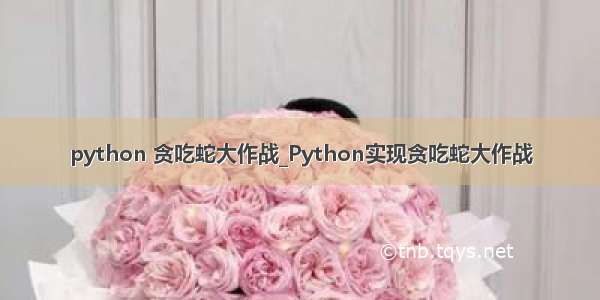 python 贪吃蛇大作战_Python实现贪吃蛇大作战