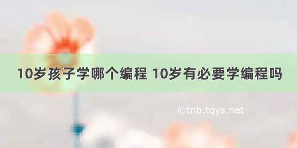 10岁孩子学哪个编程 10岁有必要学编程吗