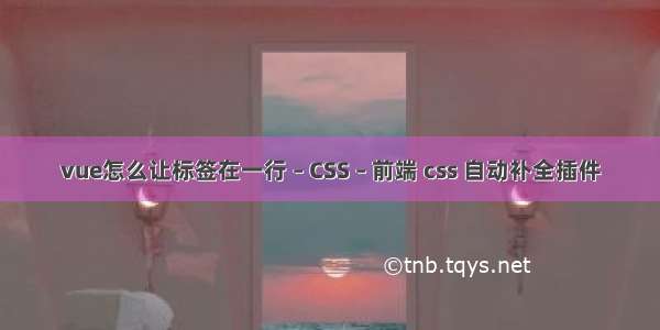 vue怎么让标签在一行 – CSS – 前端 css 自动补全插件