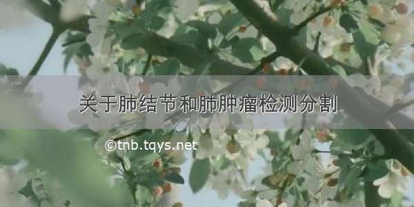 关于肺结节和肺肿瘤检测分割