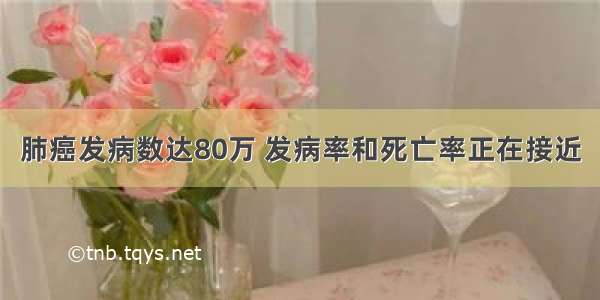 肺癌发病数达80万 发病率和死亡率正在接近