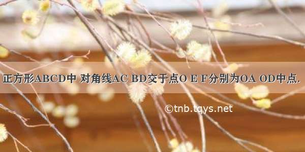 已知：如图 正方形ABCD中 对角线AC BD交于点O E F分别为OA OD中点．求证：（1）